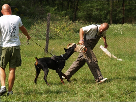 Training´s